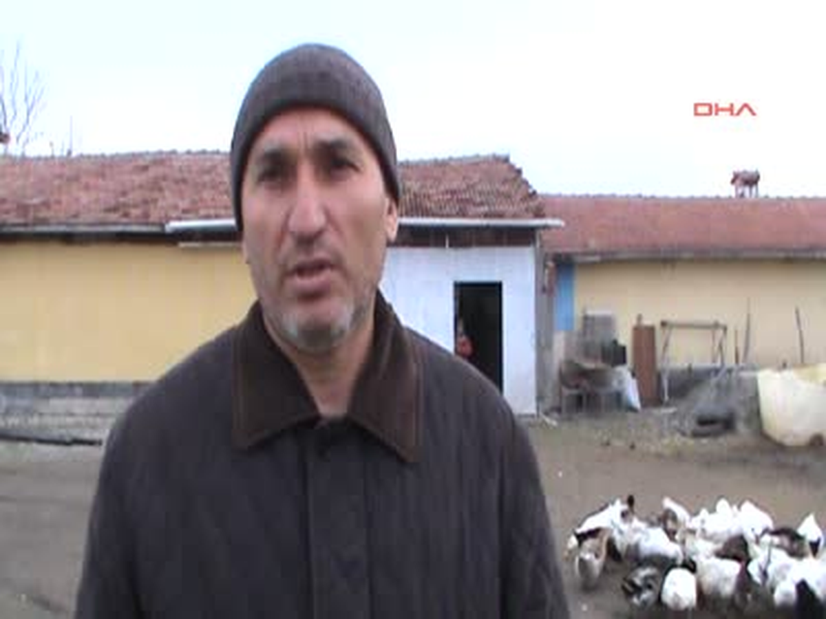 Kaz ve Tavuk Çalıp Sattılar