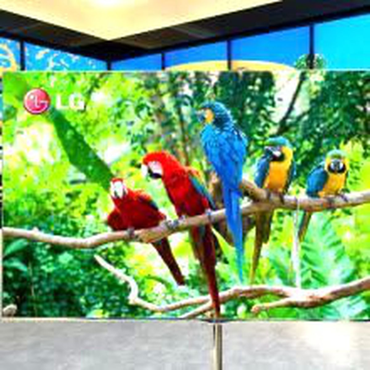 Lg, Dev Oled Tv\'sini Ces\'de Tanıtacak!