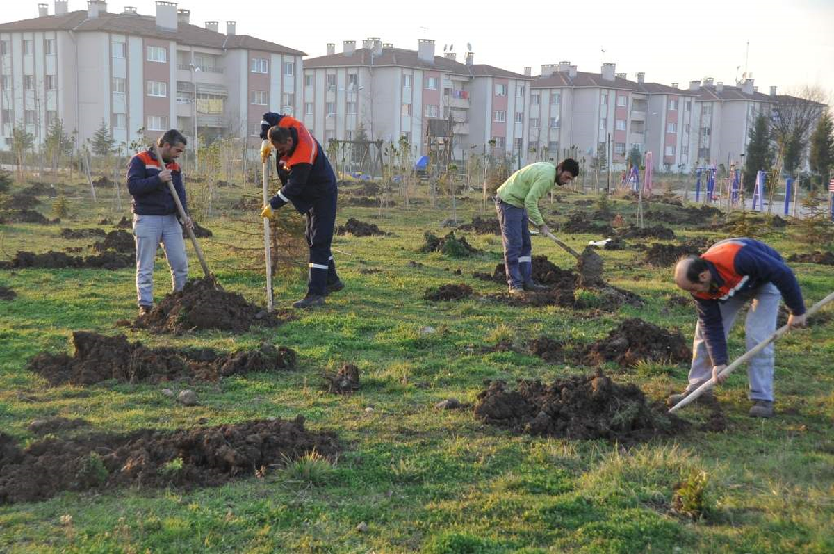 Başiskele\'de 10 Bin Adet Fidan Toprakla Buluşuyor