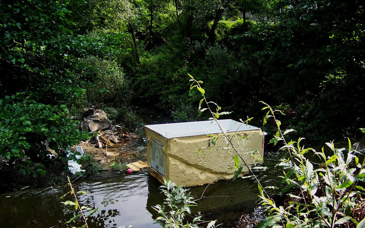 Sapanca Gölünü Koruma Çağrısı