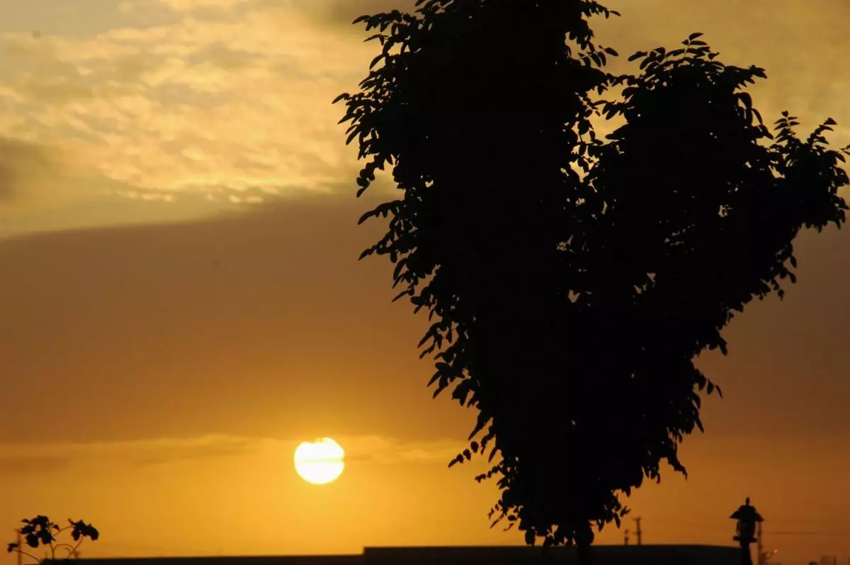 Viranşehir\'de Gün Batımı