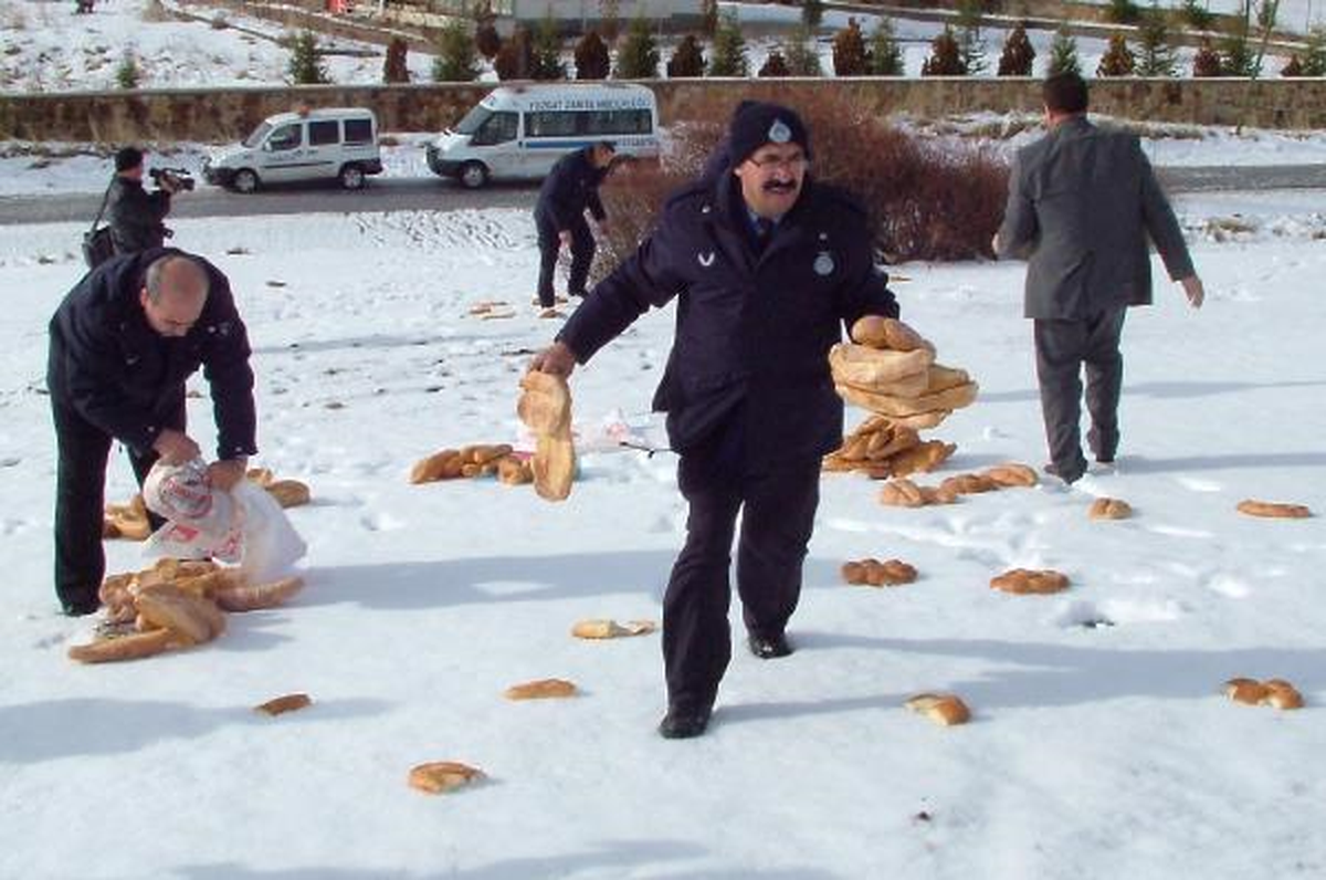 Yozgat\'ta Yabani Hayvanlar İçin Doğaya Ekmek Bırakıldı