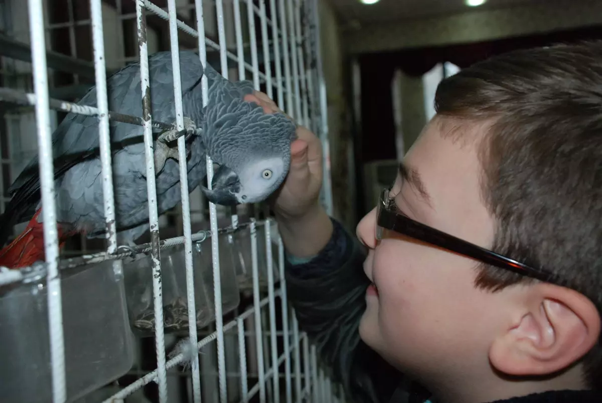 "Başkan" İlgiden Memnun