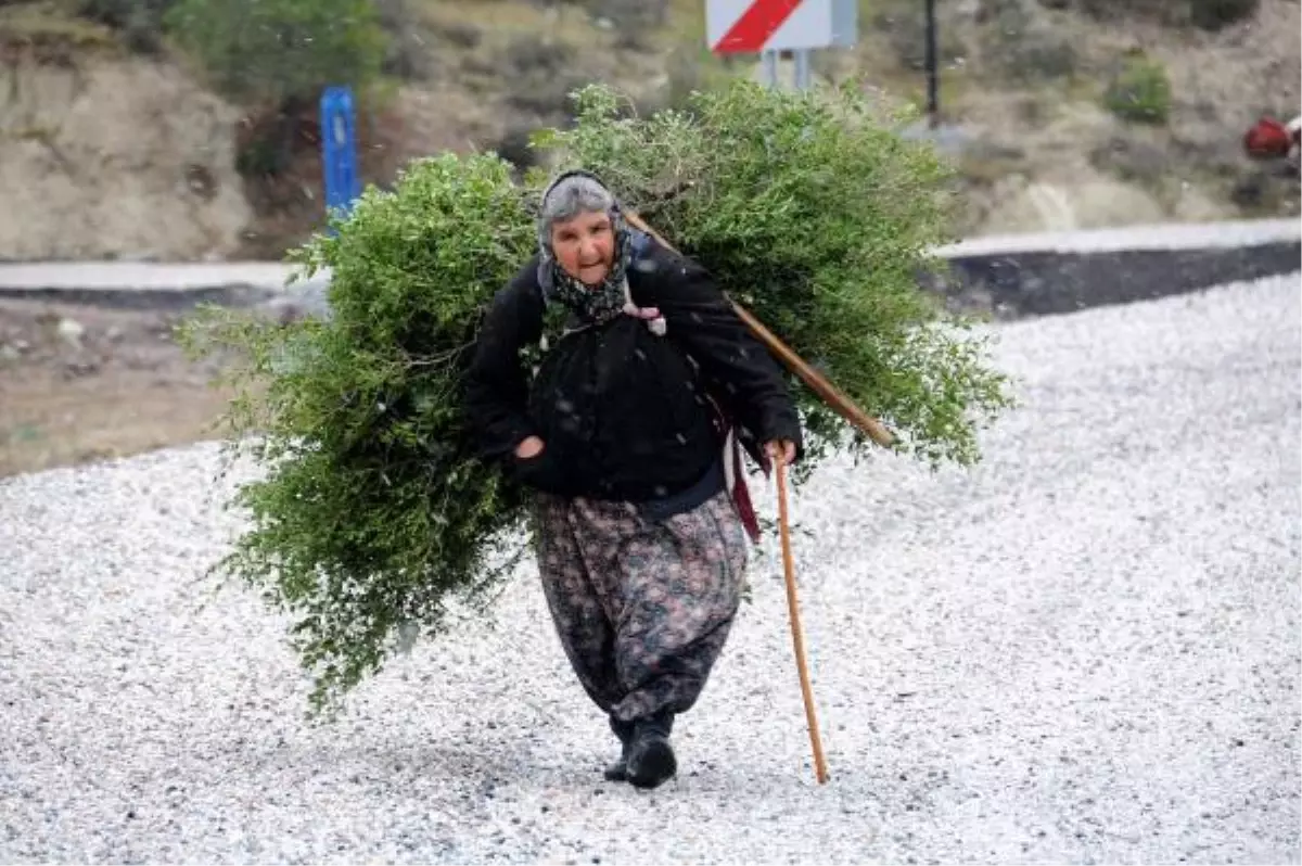 Güllü Ninenin Yaşam Savaşı