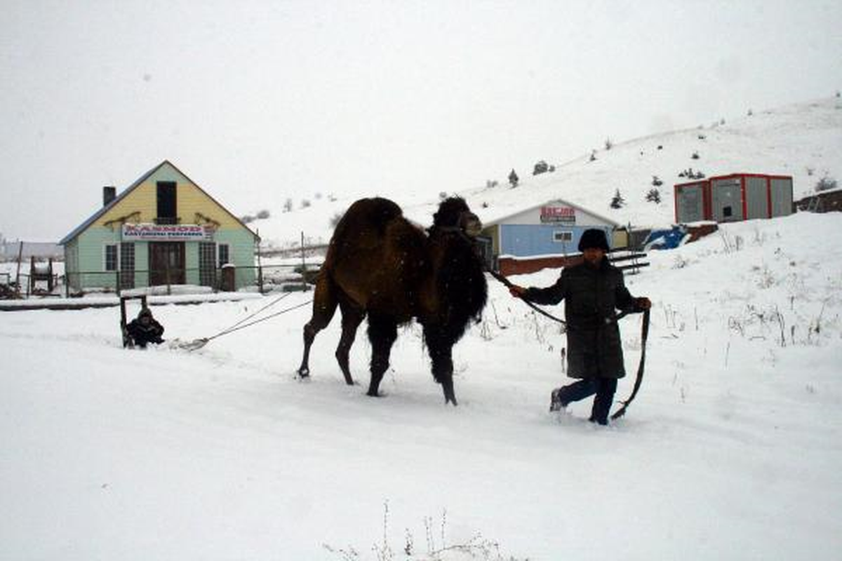 Kar Üstünde \'deve Kayağı\'