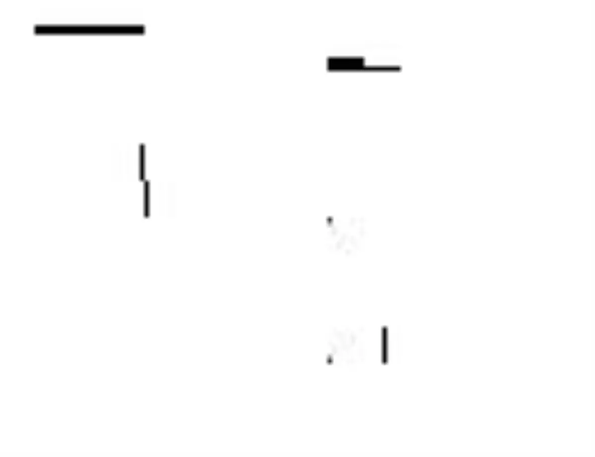 Teknosa Yerinde Hizmet Dönemini Başlatıyor