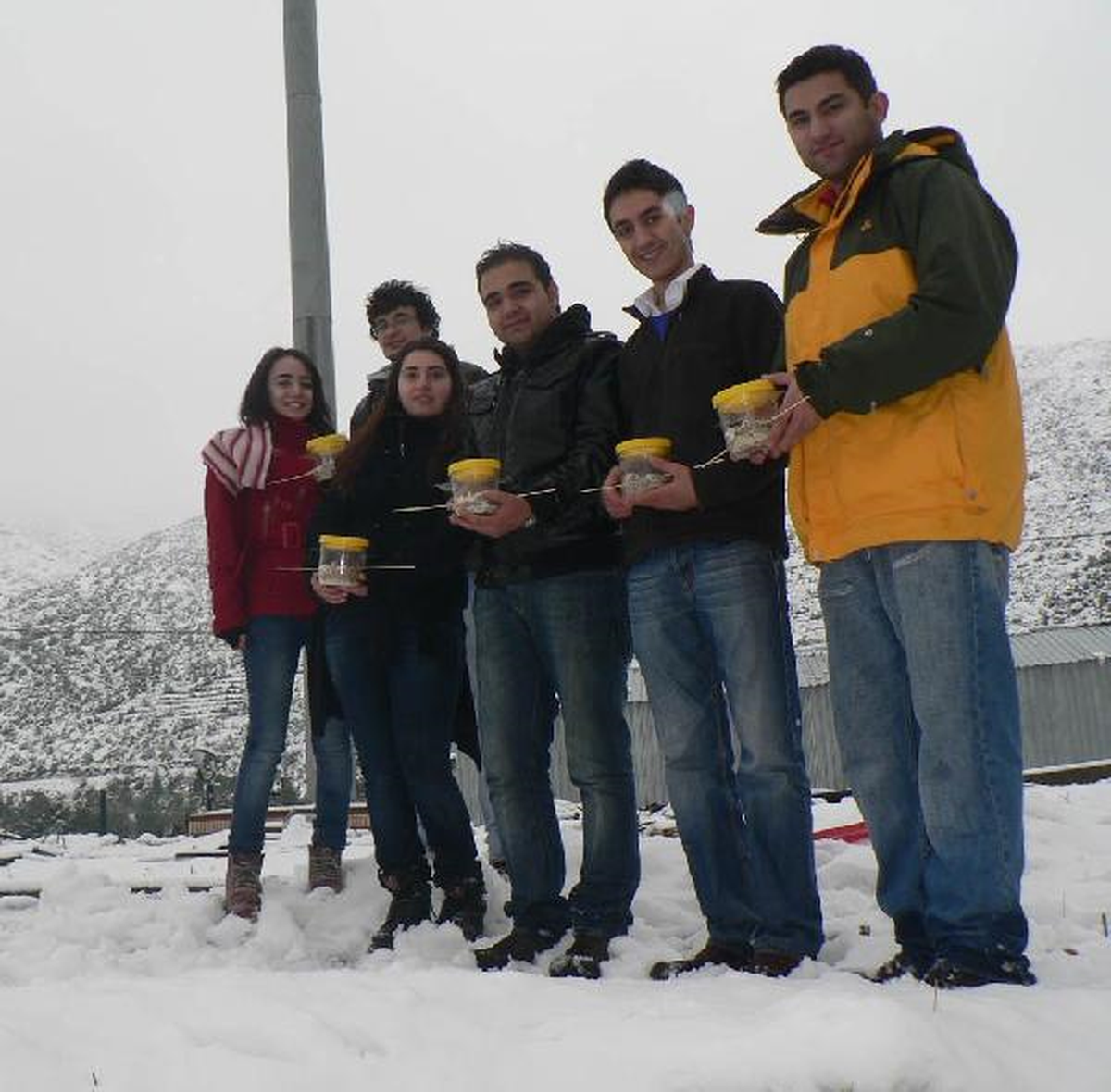Üniversitelilerden Karda Aç Kalan Kuşlara Yem