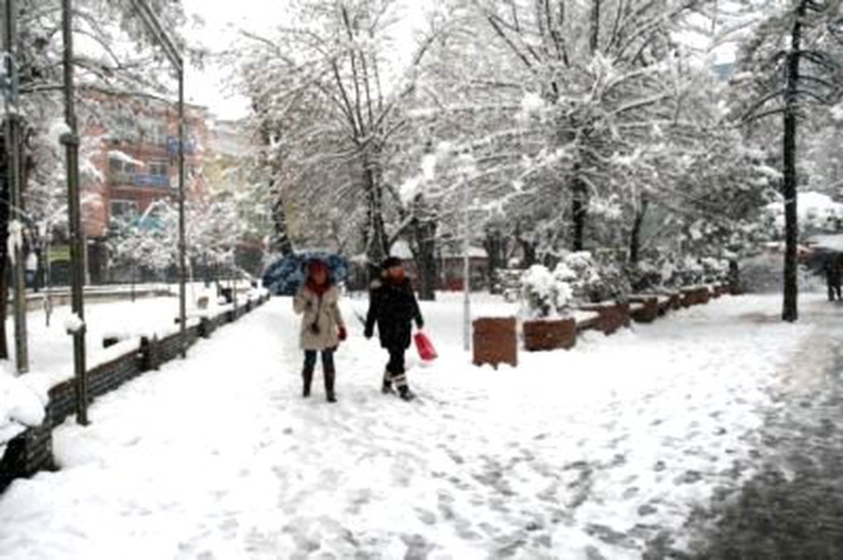 Uşak\'ta Kar Ağaçları Devirdi (3)