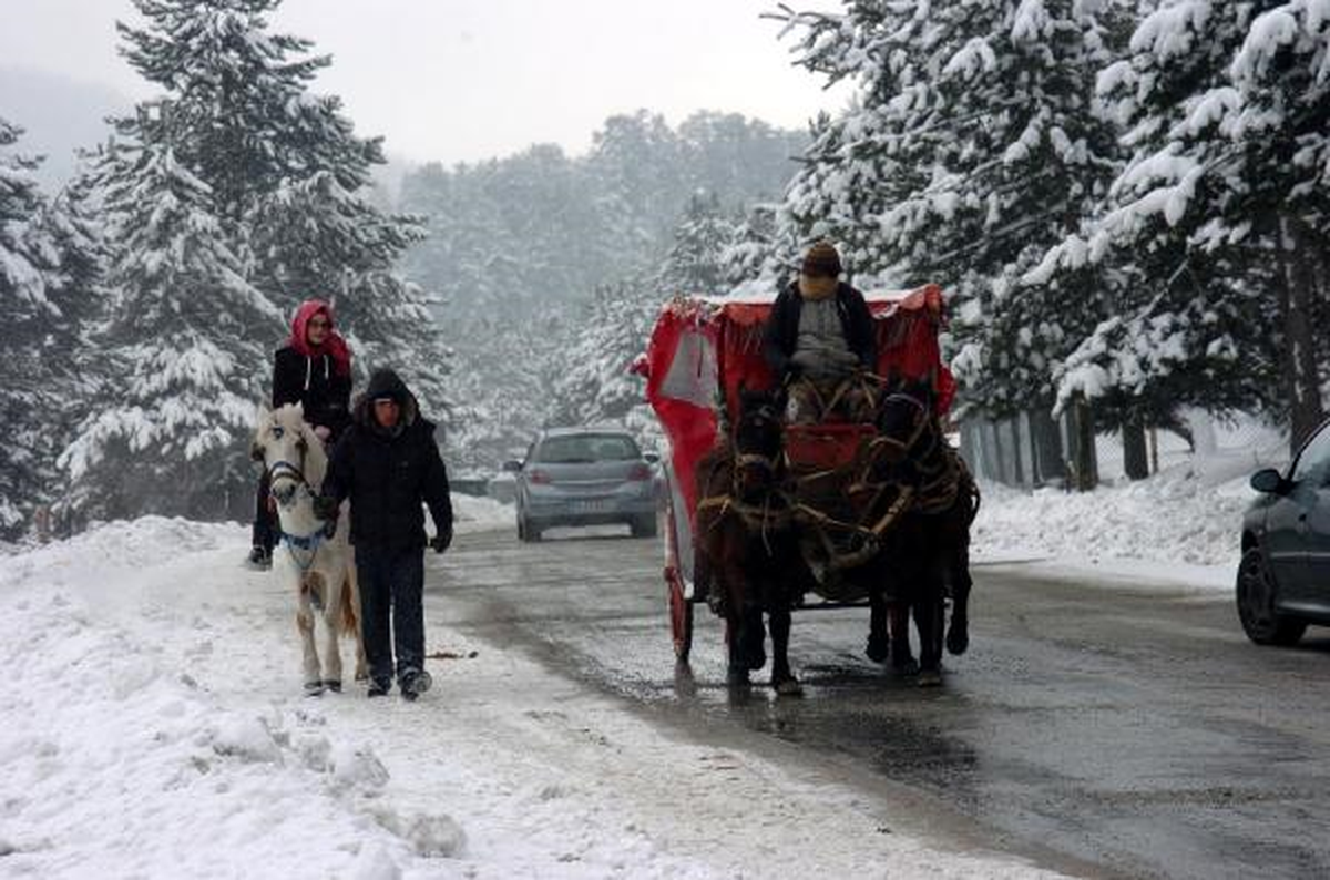 Abant Kar Altında