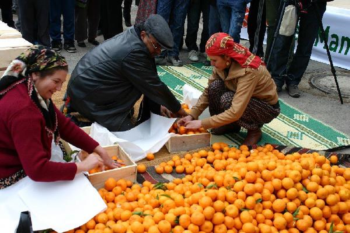 Bitez'de Mandalina Festivali Sona Erdi