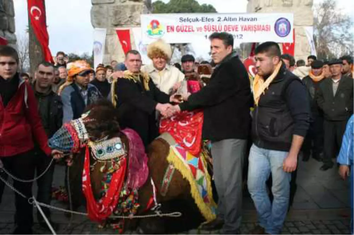 Festivalinin En Süslü Devesi Seçildi