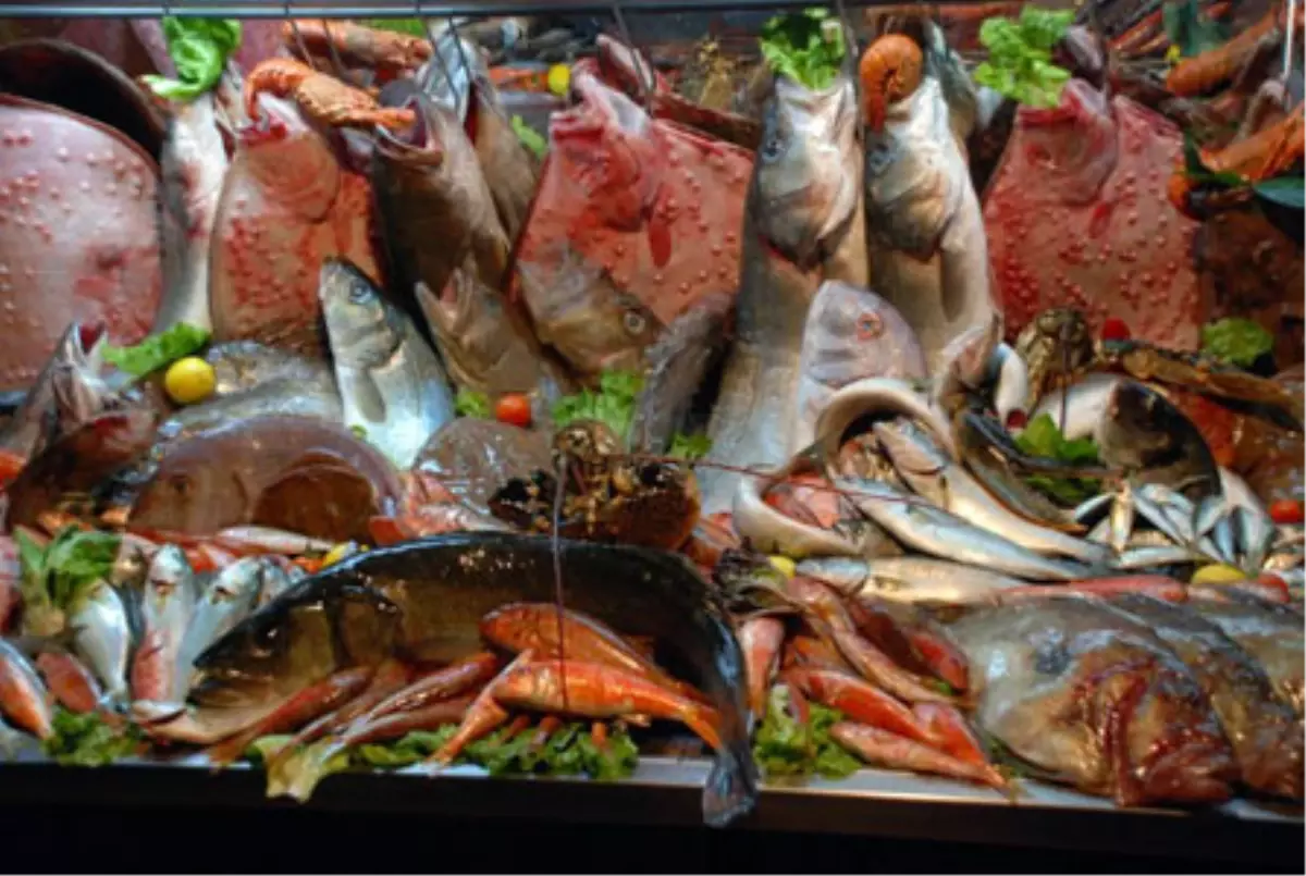 Karaköy Galataport Afrodit Restoran