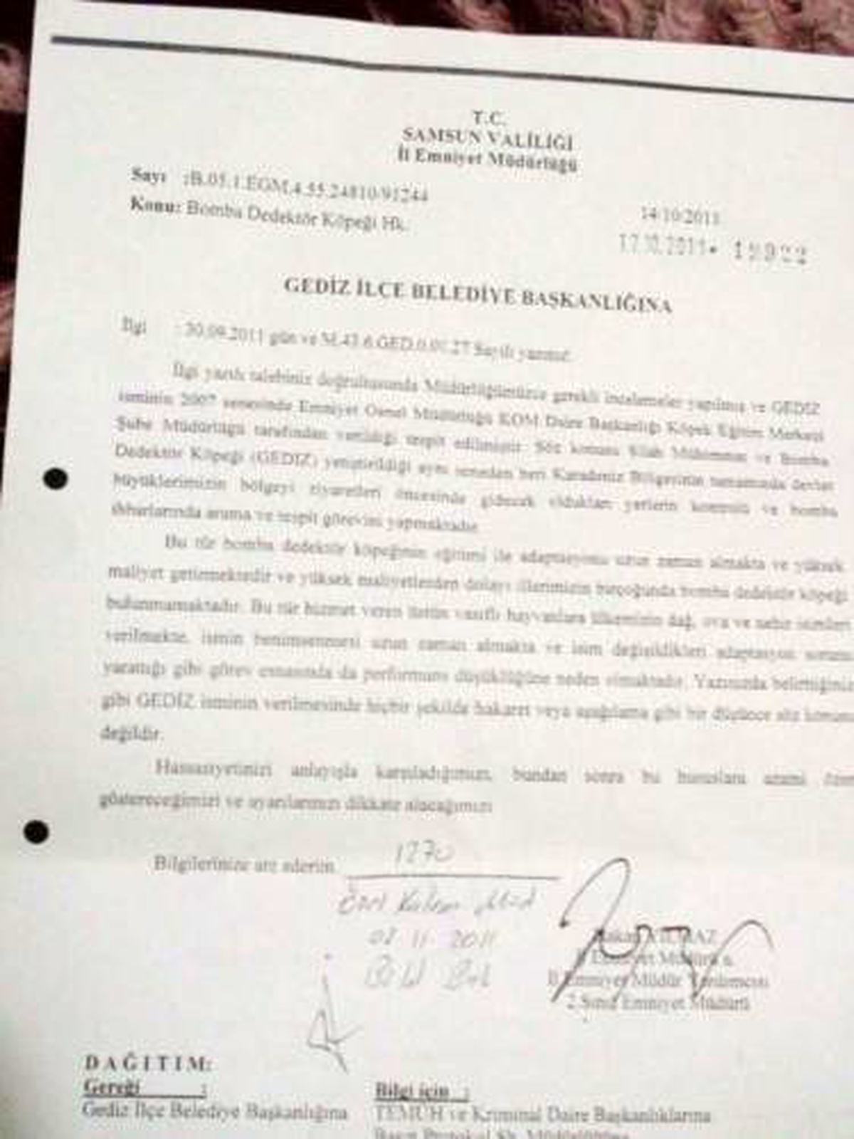Köpeğe \'Gediz\' İsmi Verilince Tepkisini Gösterdi