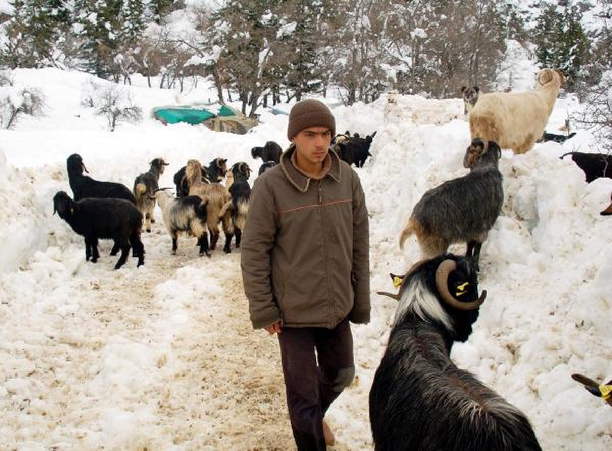 5 Kişilik Aile Karda 85 Saat Kurtarılmayı Bekledi
