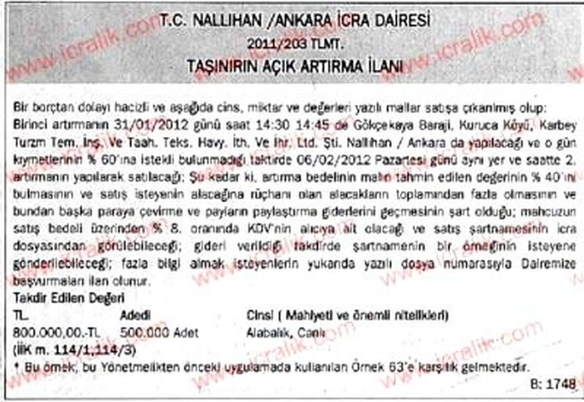 500 Bin Alabalık Haczedildi