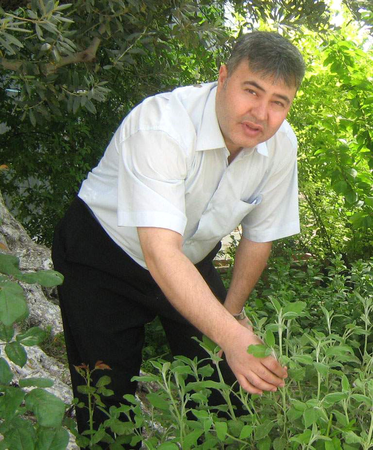 Ege Lokmanı Sahte Lokmanlara Karşı Uyardı