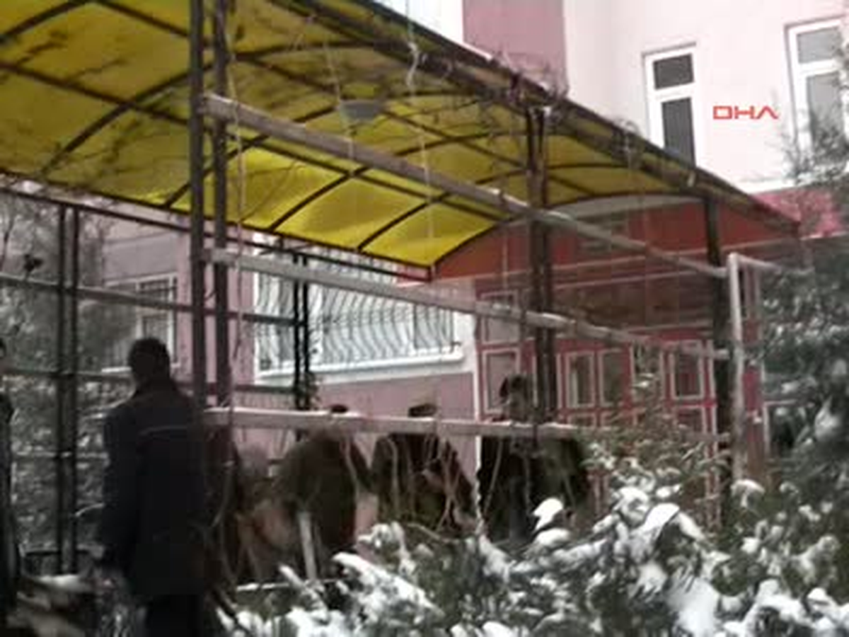 3 Çocuk Annesi Kadın Öldürüldü