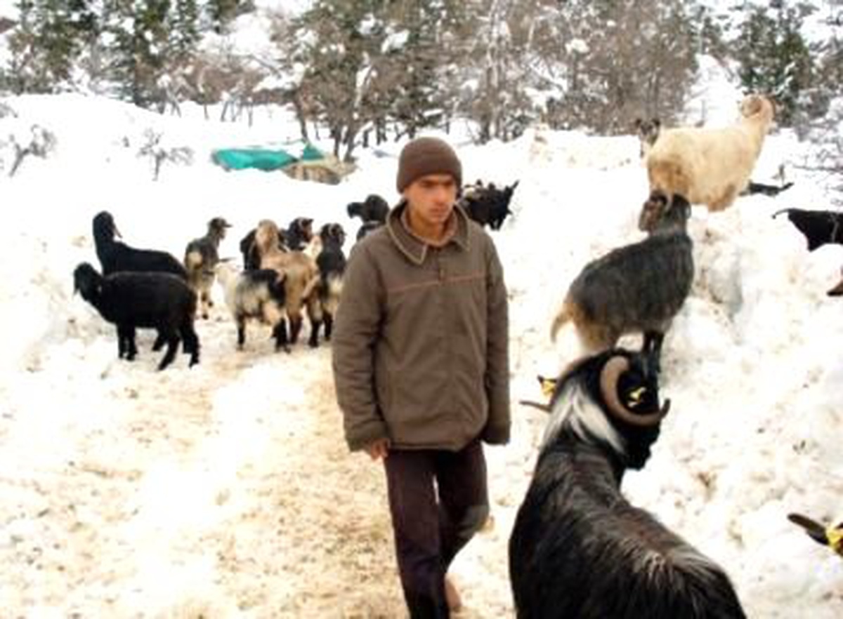Giden Gelmez Dağlarında Mahsur Kaldılar