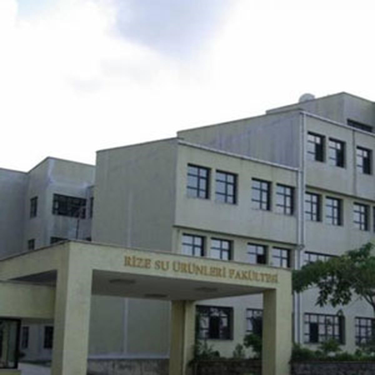 Rize Üniversitesi\'nin Adı \'Recep Tayyip Erdoğan Üniversitesi\' Olarak Değiştiriliyor