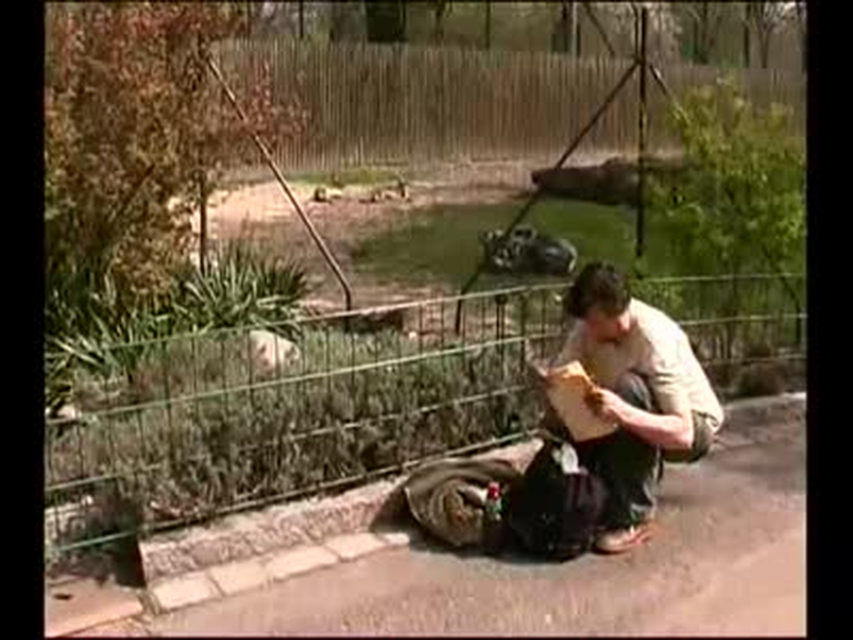 Sarrazin\'in Kitabı İçin \'Sanatsal İmha Planı\'na Tepki