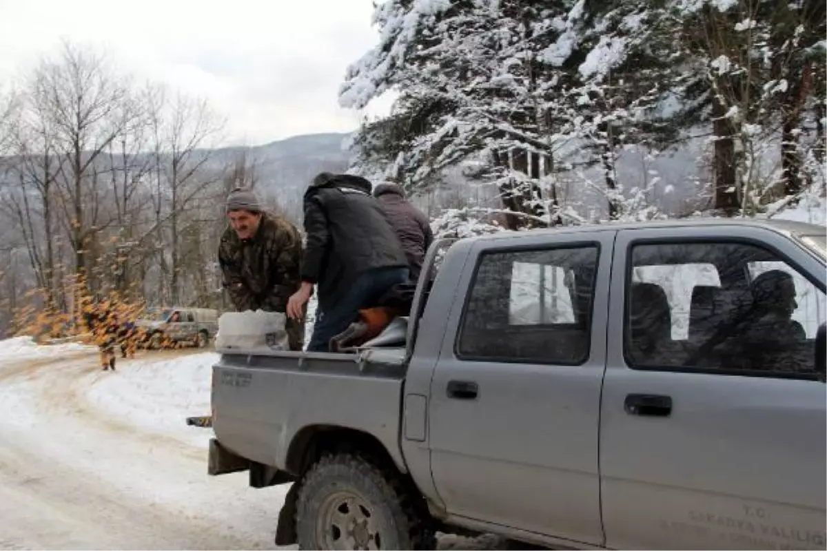 Yaban Hayvanları İçin Ormanlık Alana Yem Bırakıldı