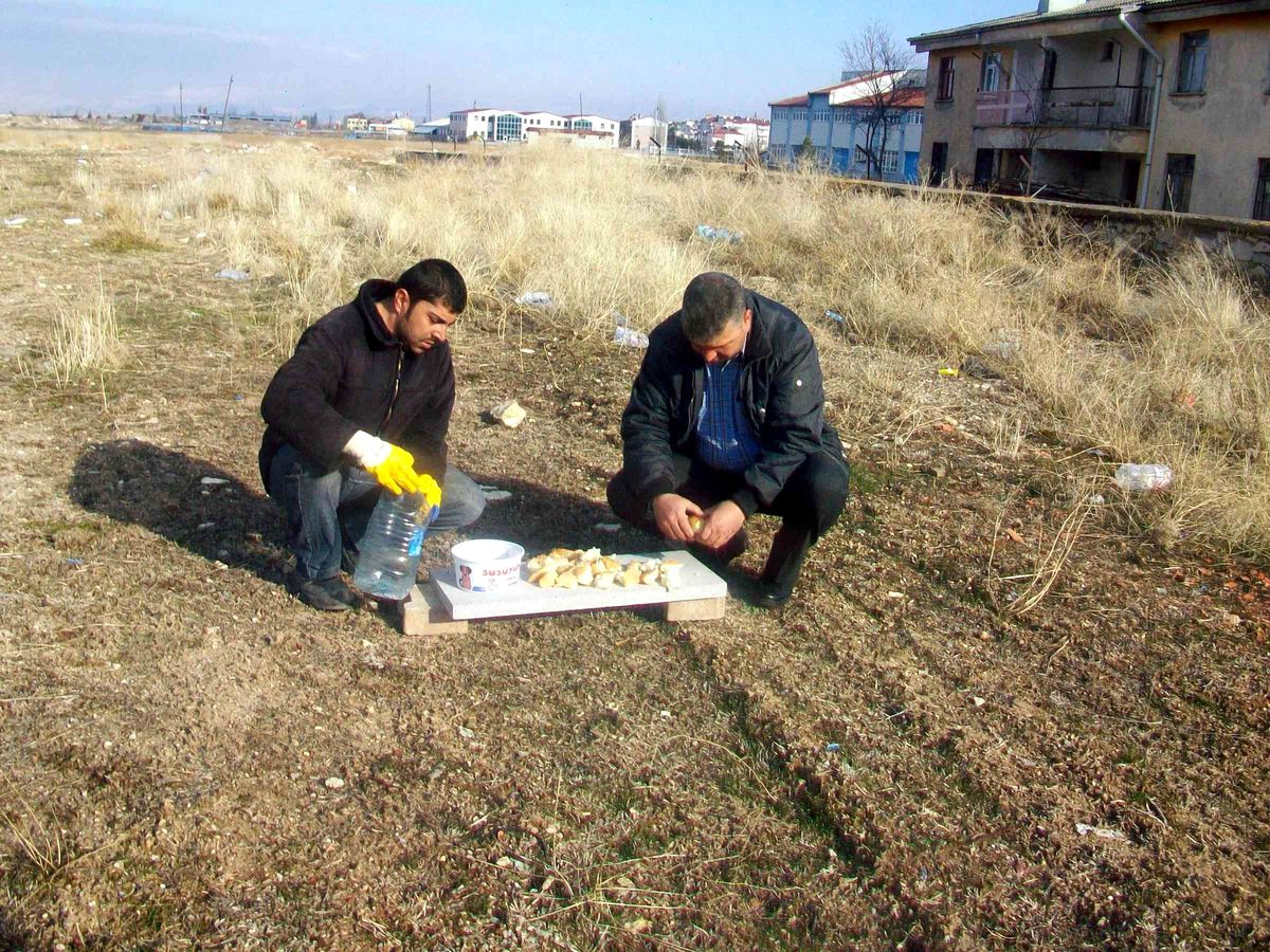 Beyşehir\'de Sokak Hayvanlarına Şefkat Eli
