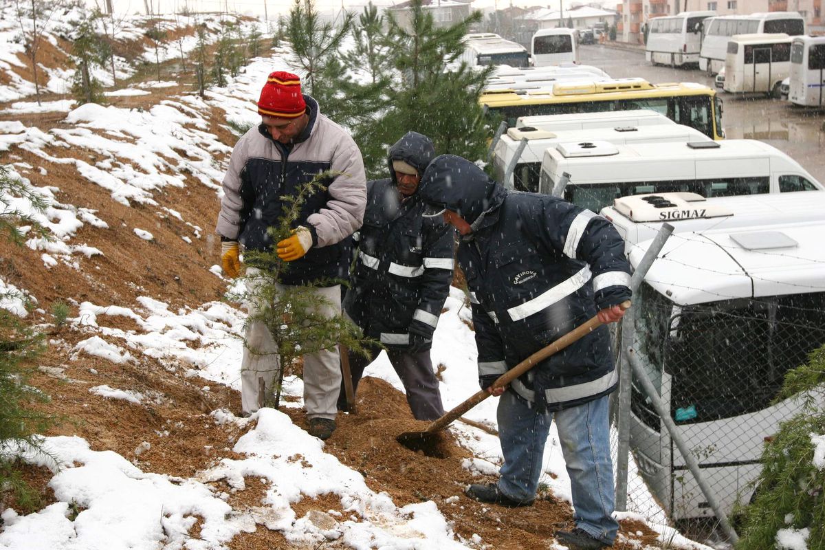 Çayırova\'da Ağaçlandırma Seferberliği