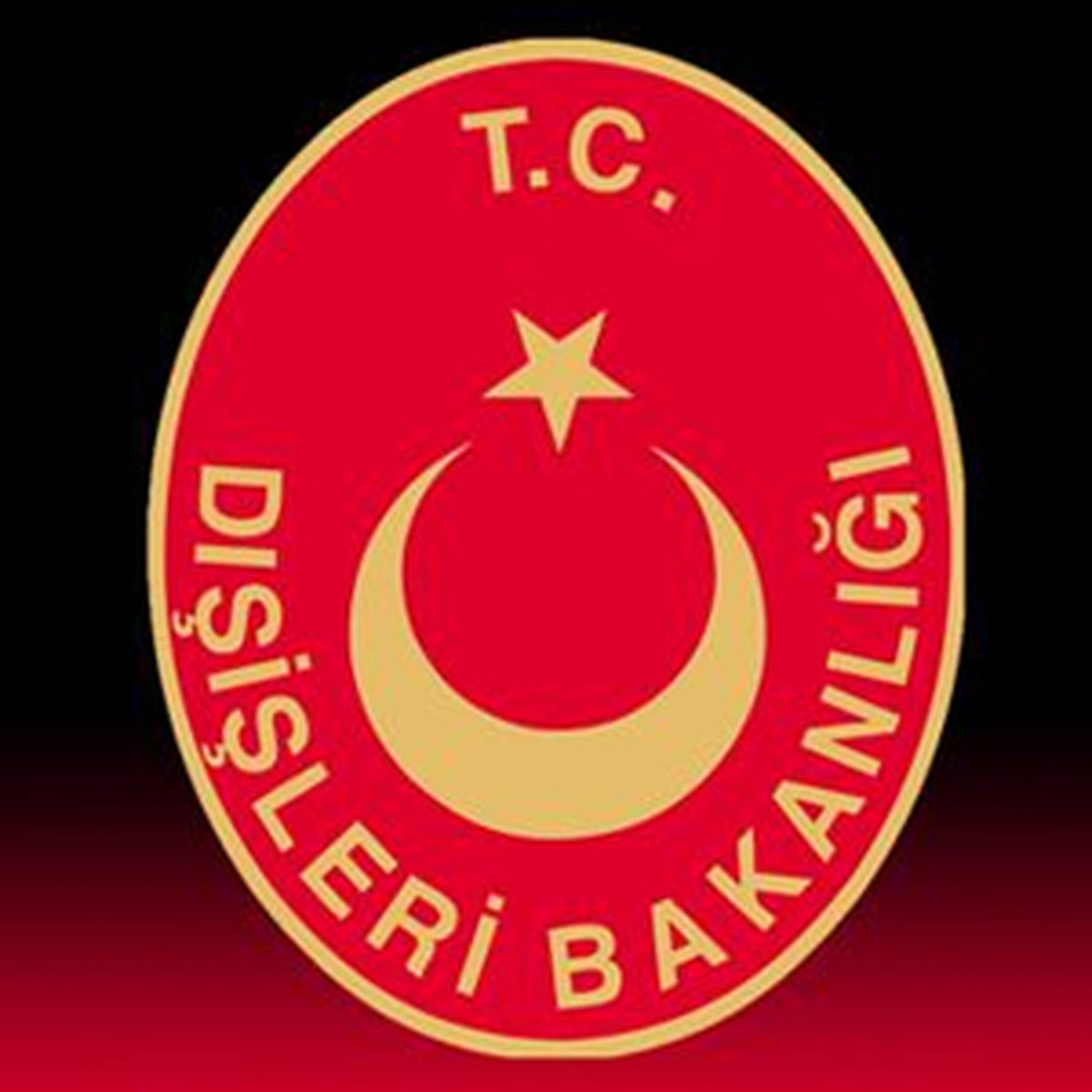 Dışişleri, Teksas Valisi\'ni Kınadı