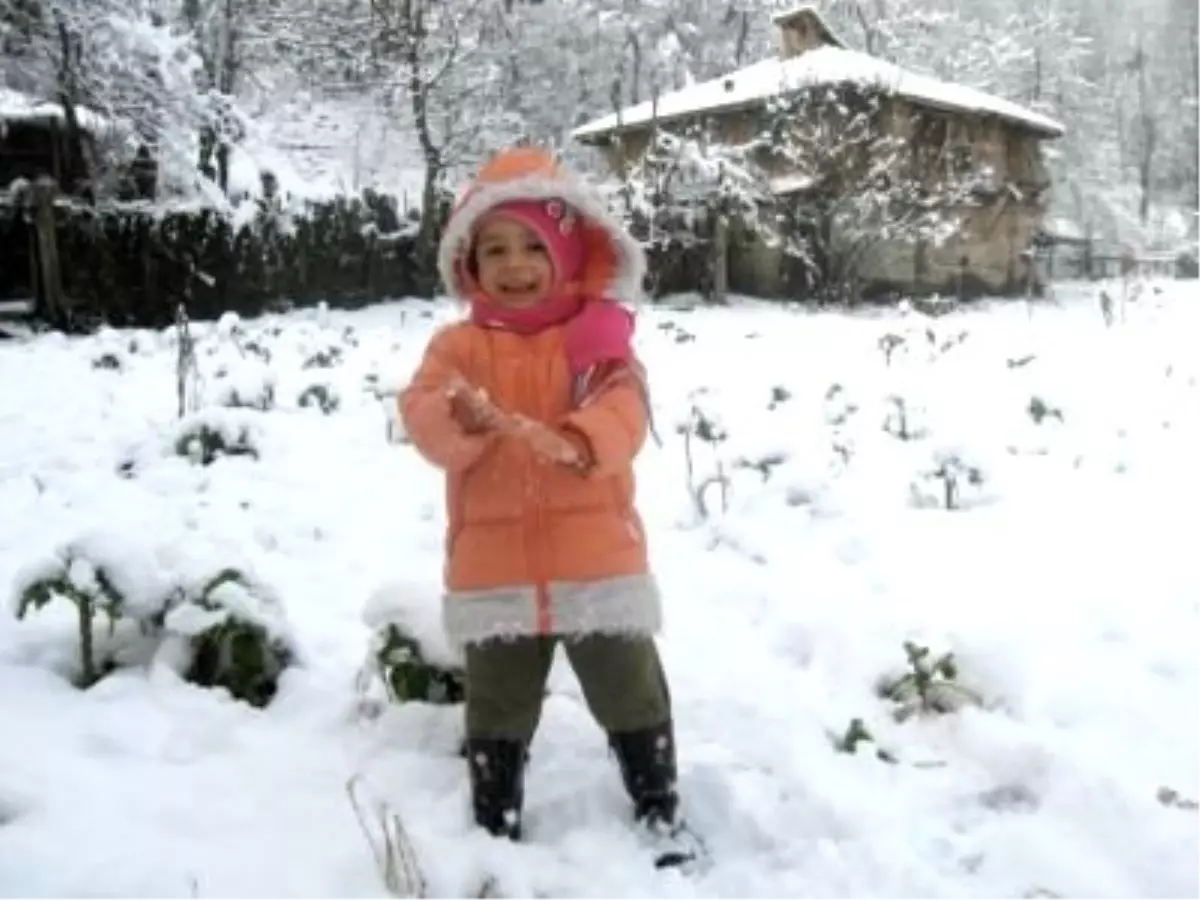 Giresun\'da Kar Yağışı Nedeniyle 330 Köy Yolu Ulaşıma Kapalı