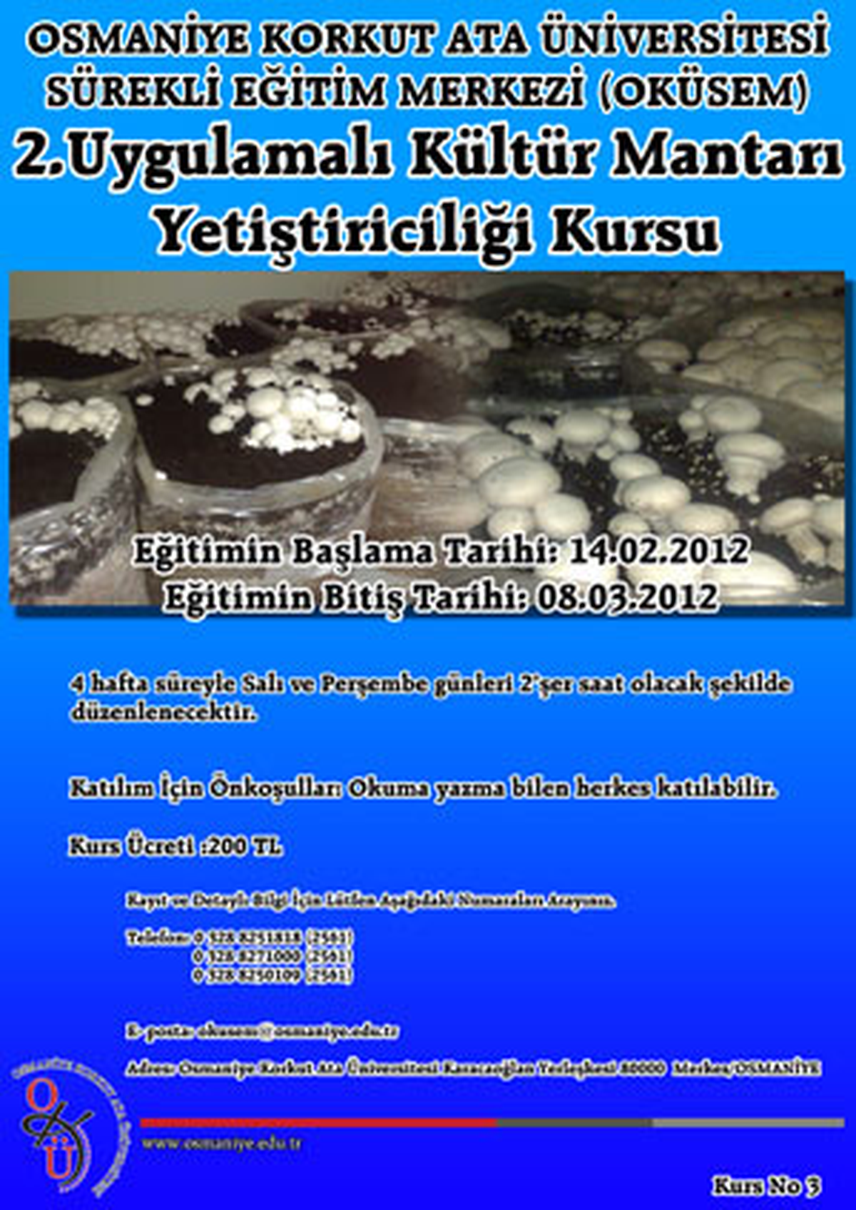 OKÜSEM Kursları Başlıyor
