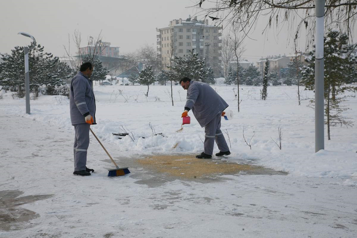 Selçuklu\'da Hayvanlar Unutulmadı