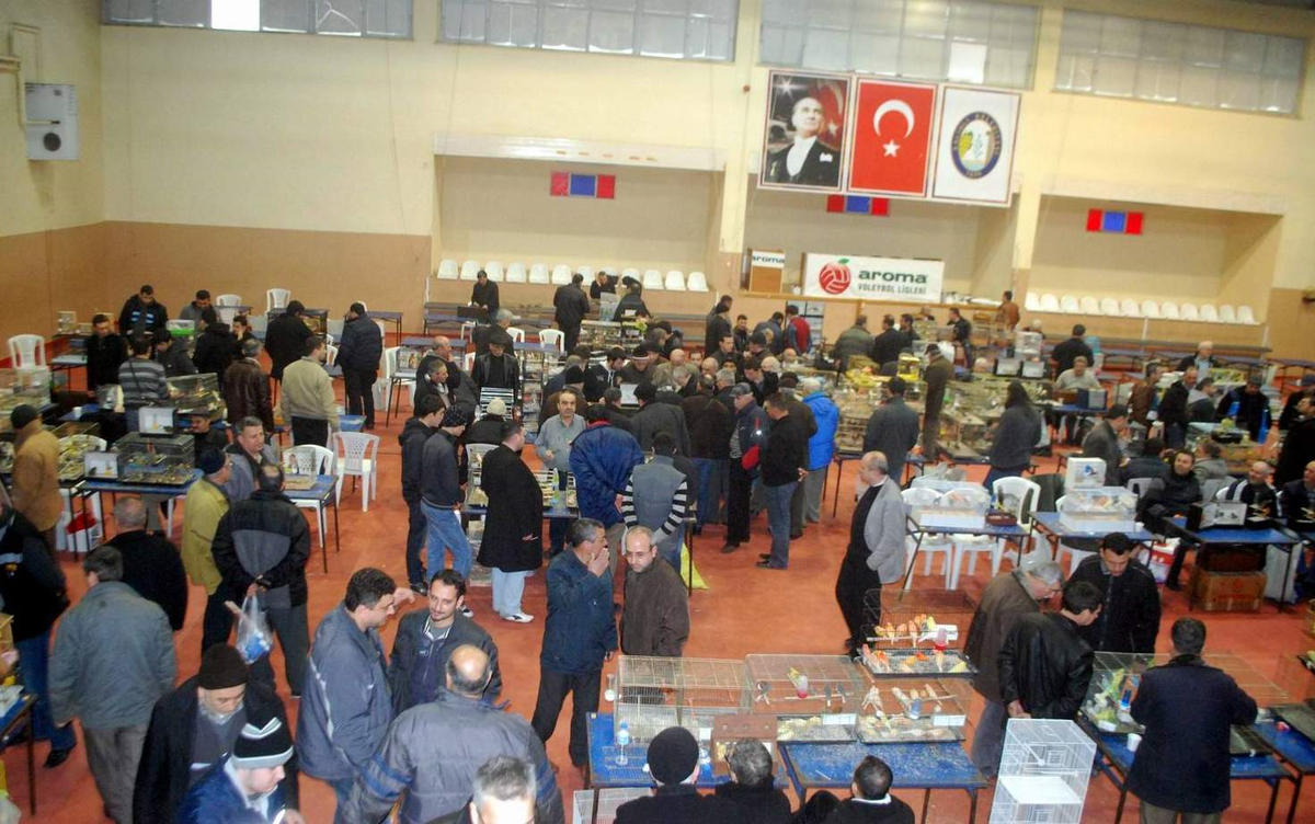 Türkiye'nin En Güzel Kuşları, Salihli'de Görücüye Çıktı