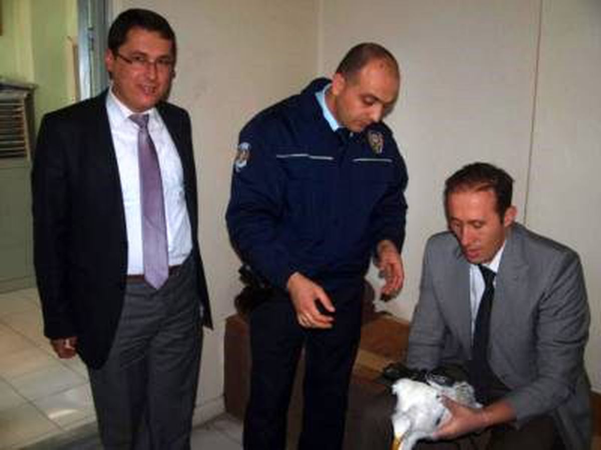 Yaralı Balıkçıl Kuşuna Polis Sahip Çıktı