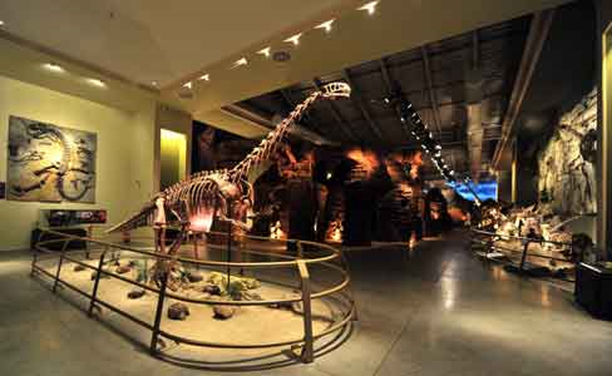 Dinozorlar Yaşıyor!