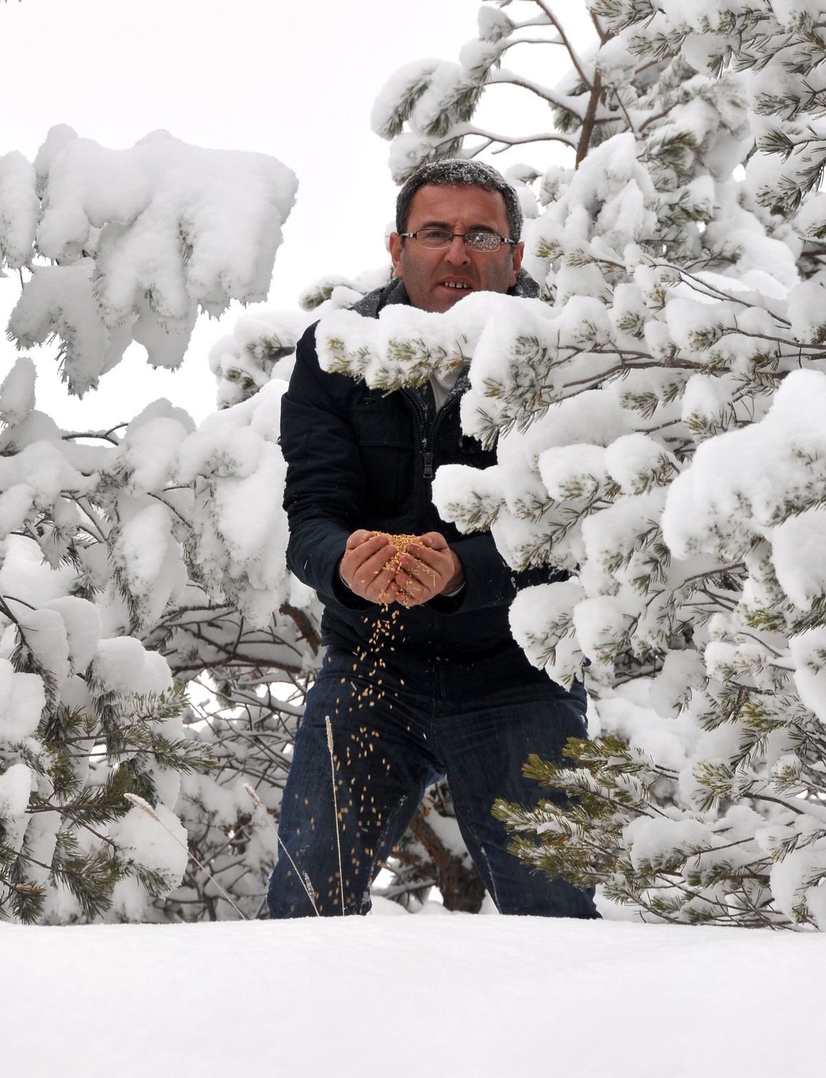 Gümüşhane'de Aşırı Kar Yağışı Yaban Hayatını da Etkiledi