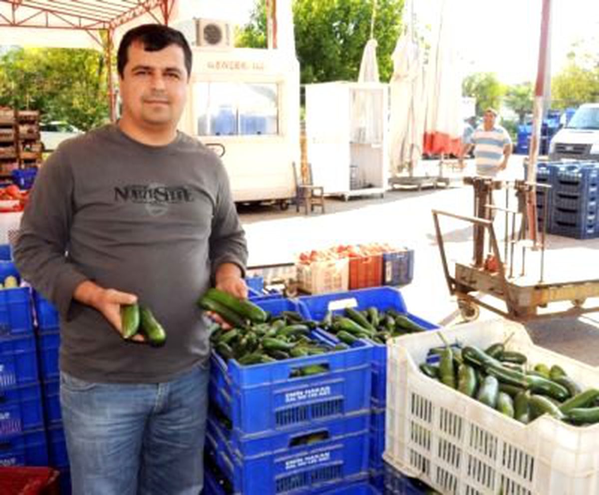 Salatalık Rekor Kırıyor