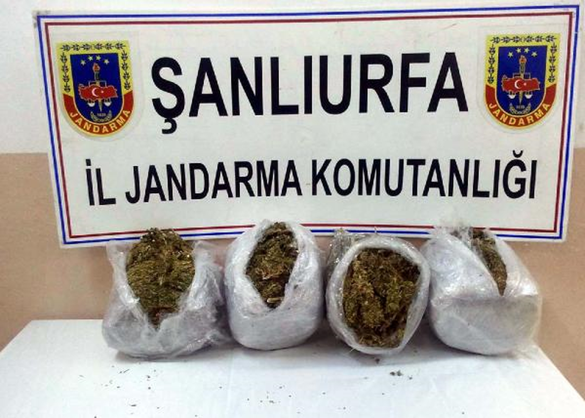 Şanlıurfa\'da Uyuşturucu Operasyonu: 5 Gözaltı