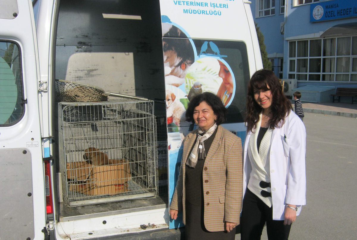 Yavru Köpek Koruma Altına Alındı