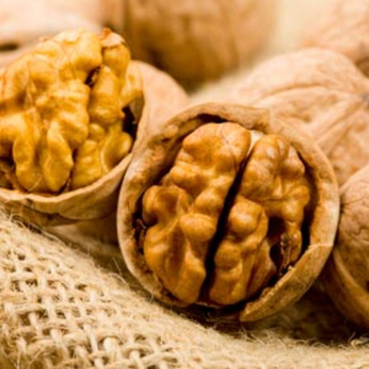 Tarihin En Büyük Ceviz Operasyonu