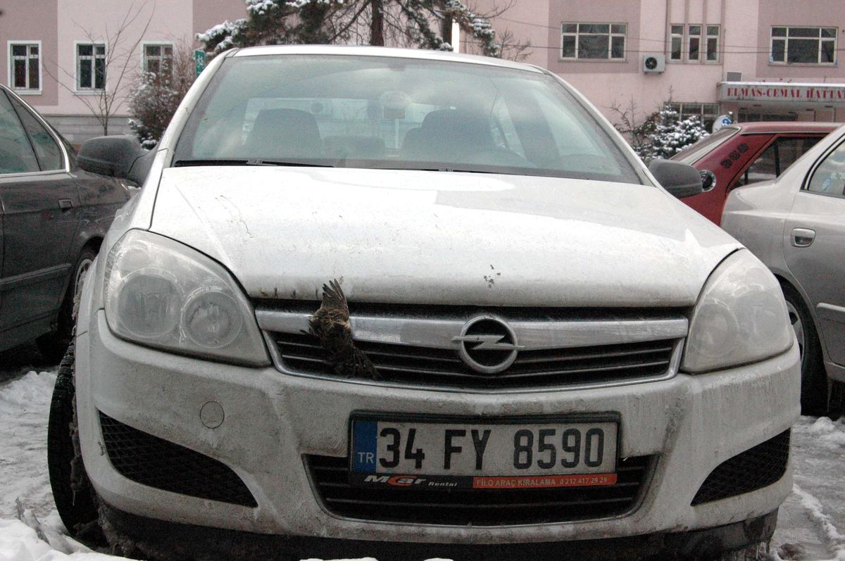 Çarpan Etkisi