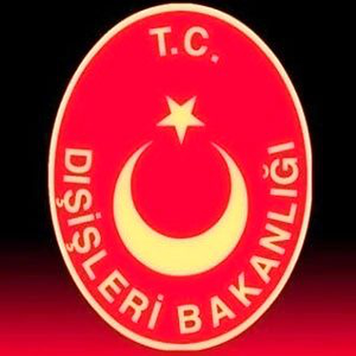 Dışişleri Büyükelçiliğe Saldırıyı Kınadı