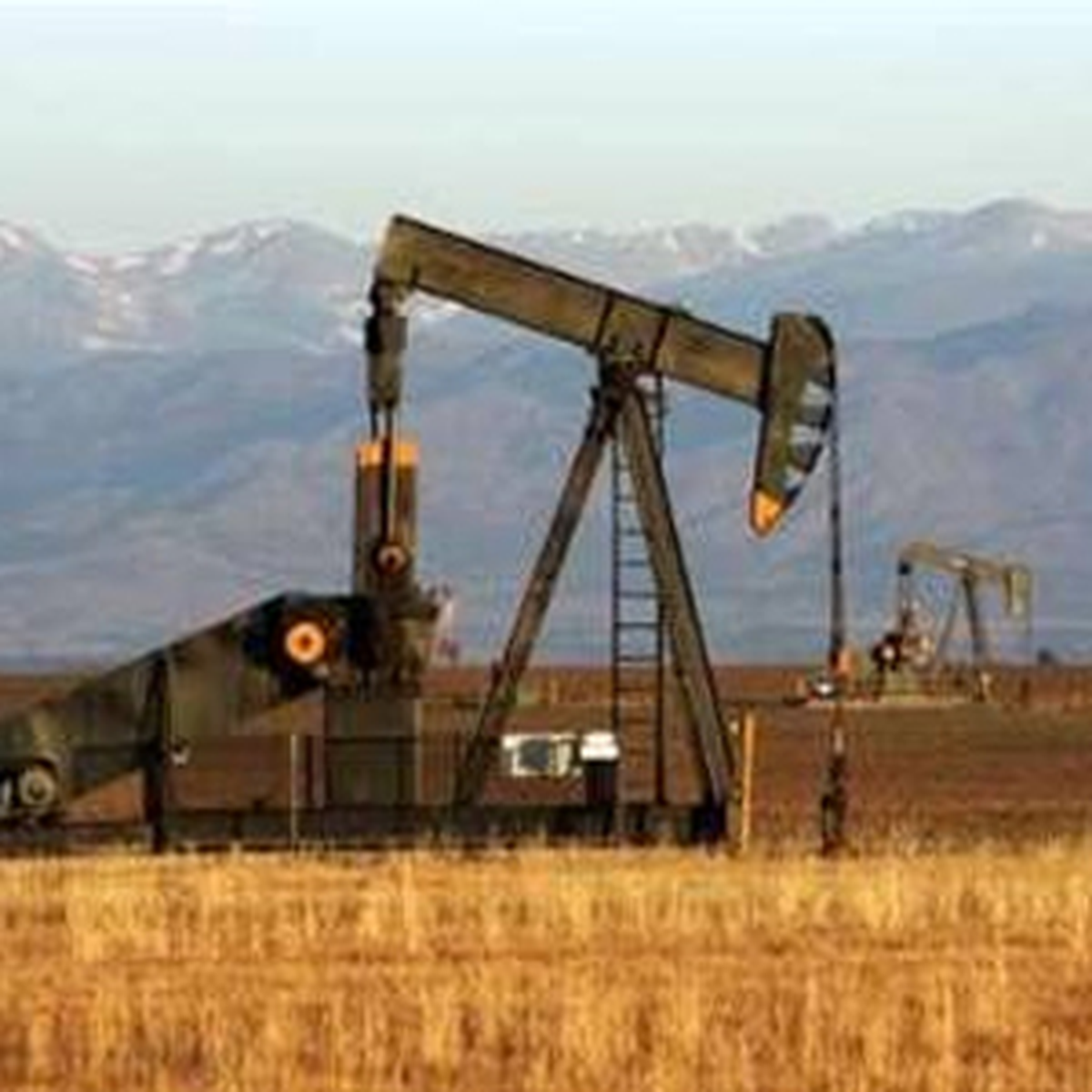 Ergani\'de Petrole Rastlandı