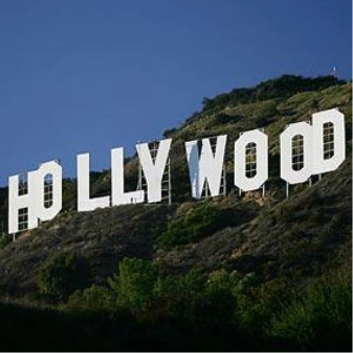 "Hollywood"Un Yanında Kesik İnsan Başı