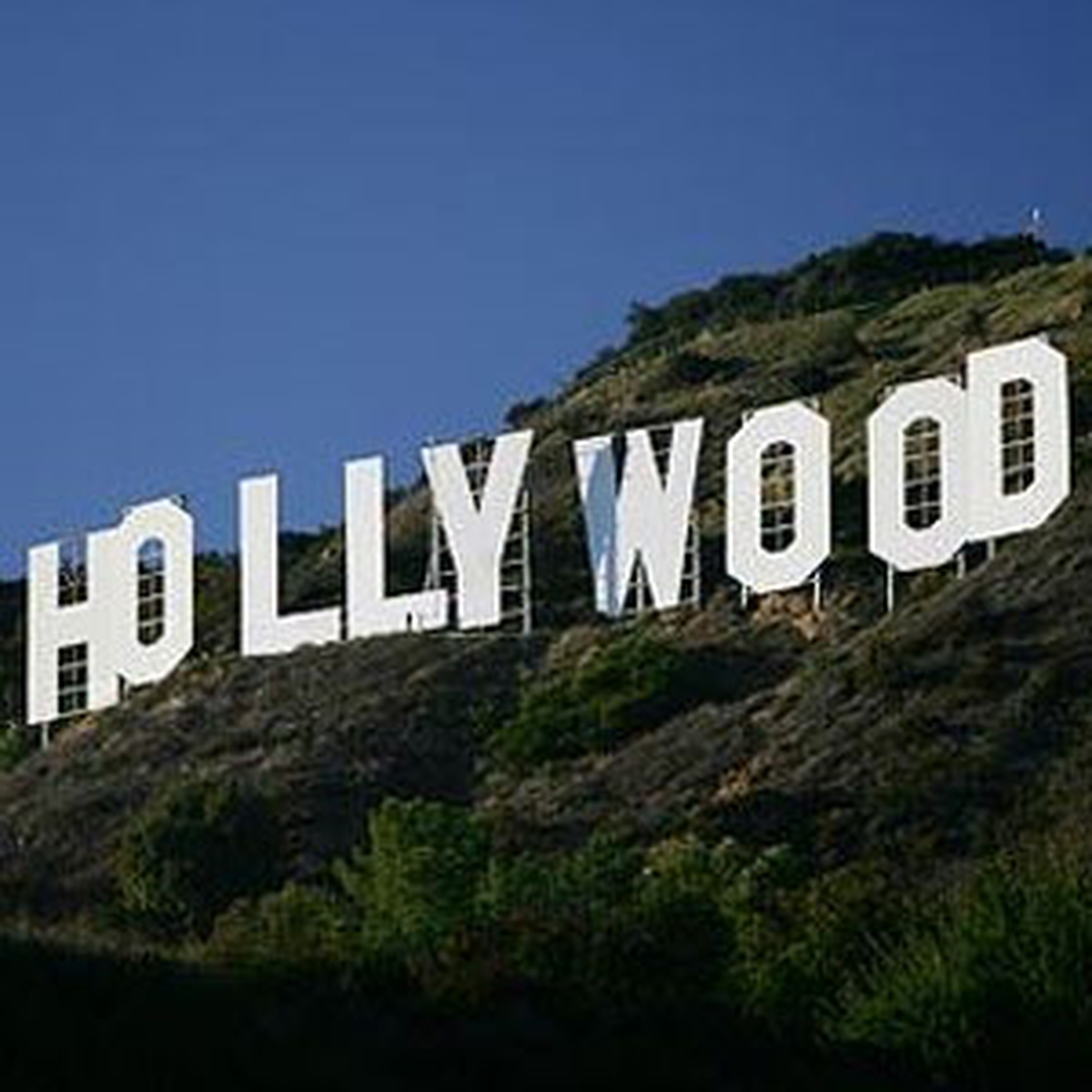 "Hollywood"Un Yanında Kesik İnsan Başı