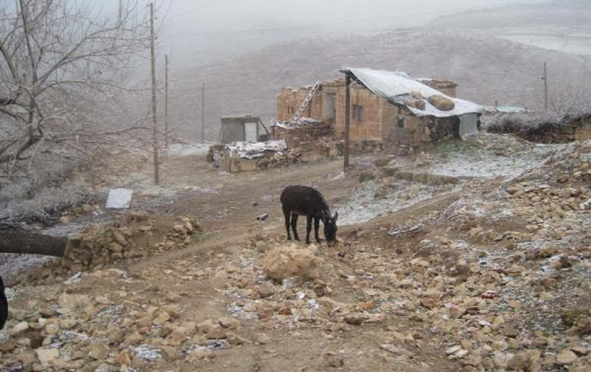 3 Cesedin Çıktığı Güçlükonak'taki Kazılara Ara Verildi