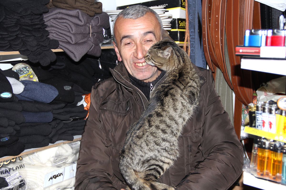 Ayağı Kırılan Kediye Esnaf Sahip Çıktı