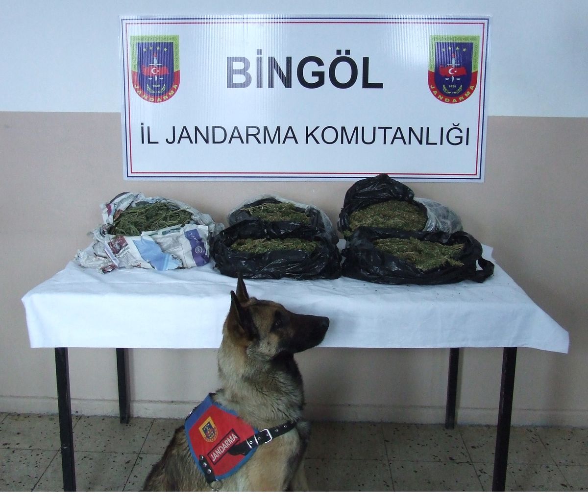 Bingöl\'de 5 Kilo Esrar Ele Geçirildi