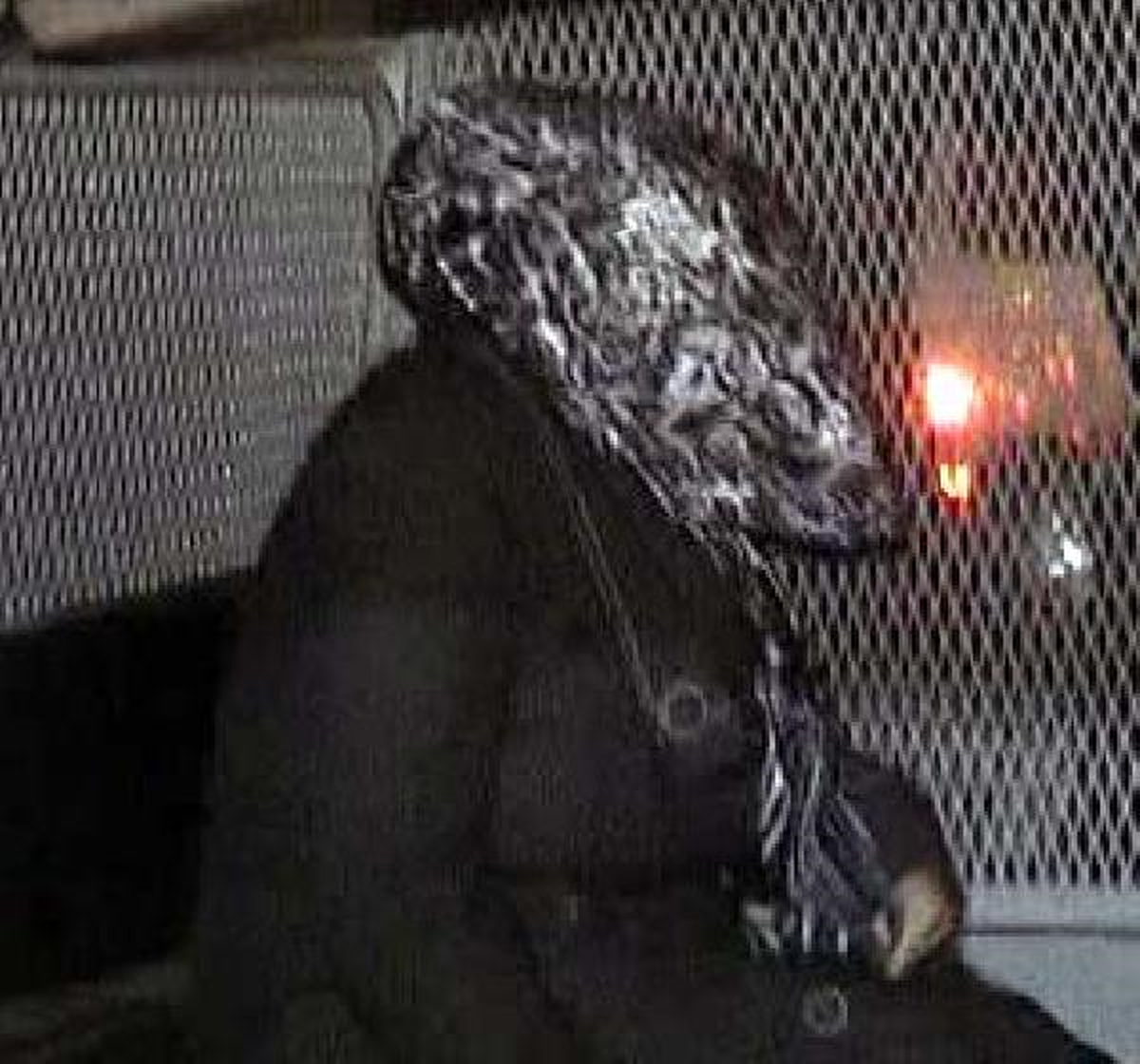 Kadın Hırsız 5 Kuyumcudan Küpe, Kolye ve Künye Çaldı