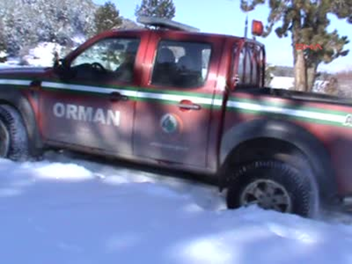 Kuşlar İçin Ormana Yem Bırakıldı
