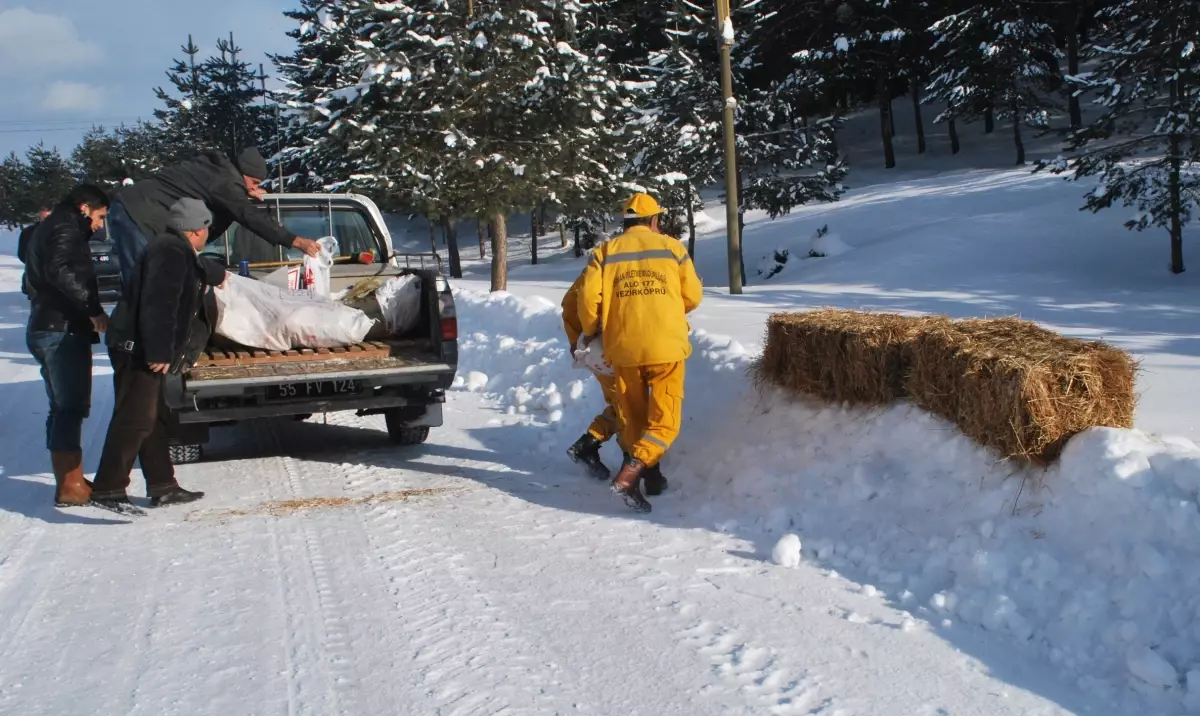 Yaban Hayatı İçin Metrelik Karı Aştılar